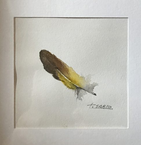 Teresa Sarto. Pluma. Acuarela sobre papel. 